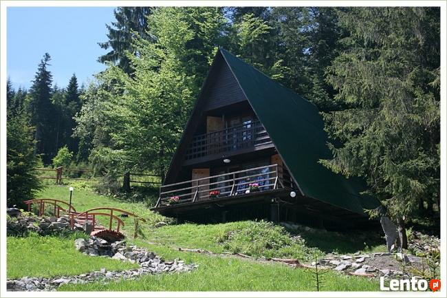 ŻABNICA - całoroczne domki letniskowe