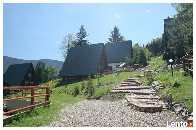 ŻABNICA - całoroczne domki letniskowe