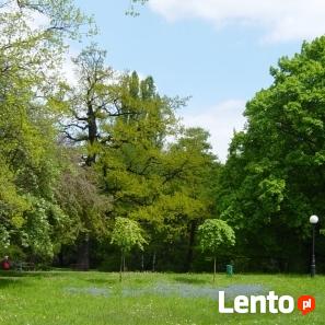 BioArt projektowanie zakładanie i pielęgnacja ogrodów