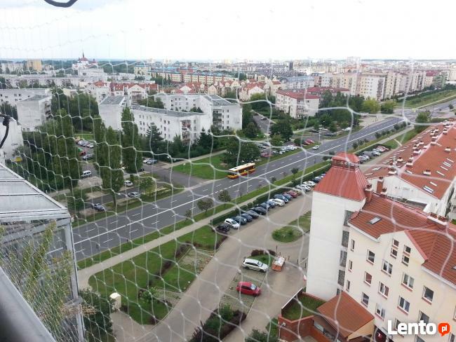 Kocia siatka na balkon, dla kota lub na gołębie. Już od