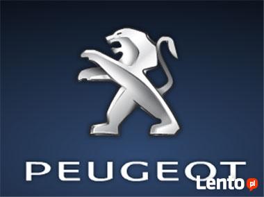 Usuwanie filtra filtrów cząstek stałych FAP DPF LUBLIN