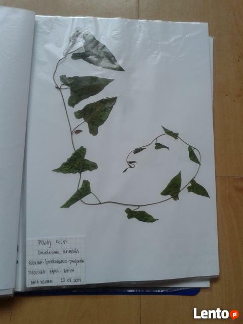 TANIO! Zielnik 30 roślin - starannie wykonany