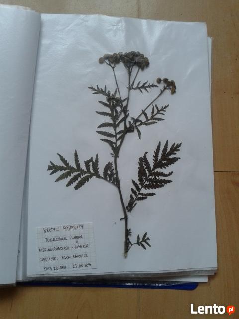 TANIO! Zielnik 30 roślin - starannie wykonany