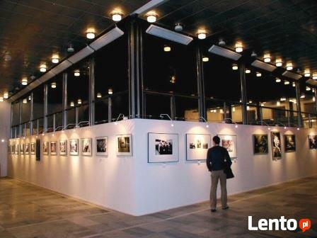 Przemysłowy panel grzewczy na podczerwień EcosunS+ 900-3600W