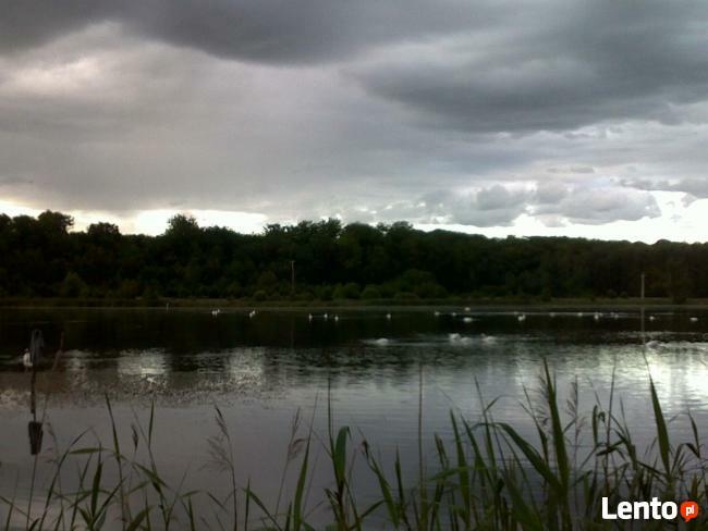 Łowisko wędkarskie Szczecin - Jezierzyce 17 ha