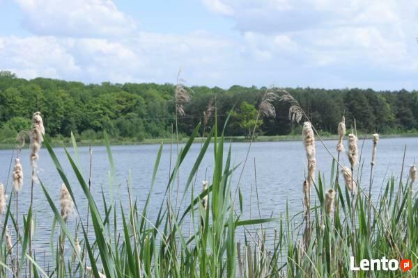 Łowisko wędkarskie Szczecin - Jezierzyce 17 ha