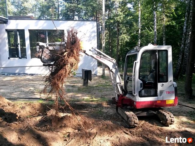 Wyrywanie usuwanie korzeni drzew koparką Kraków Wieliczka