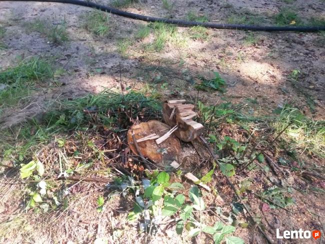 Wyrywanie usuwanie korzeni drzew koparką Kraków Wieliczka