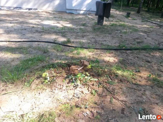 Wyrywanie usuwanie korzeni drzew koparką Kraków Wieliczka