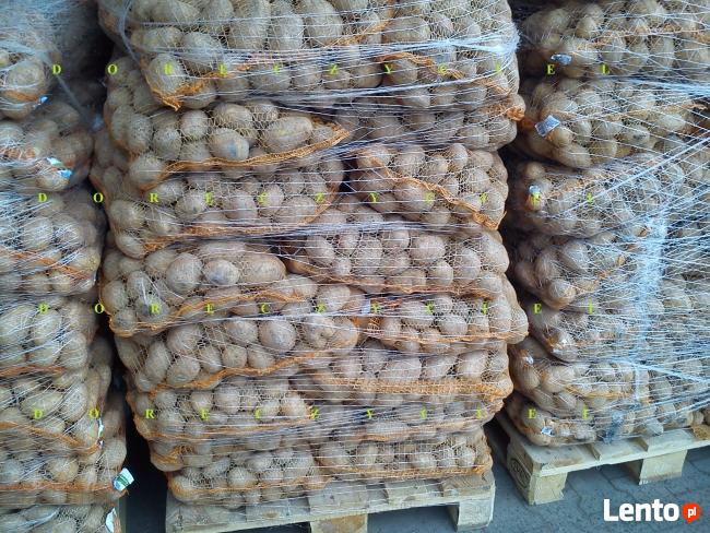 Ziemniaki z dowozem