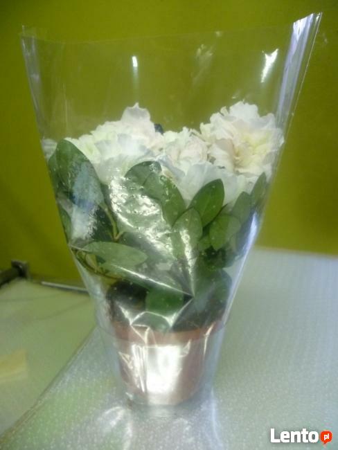 opakowania foliowe .rożki na kwiaty foliowe