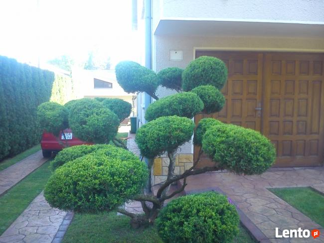 Garden Service -Zakładanie Ogrodów-Trawników