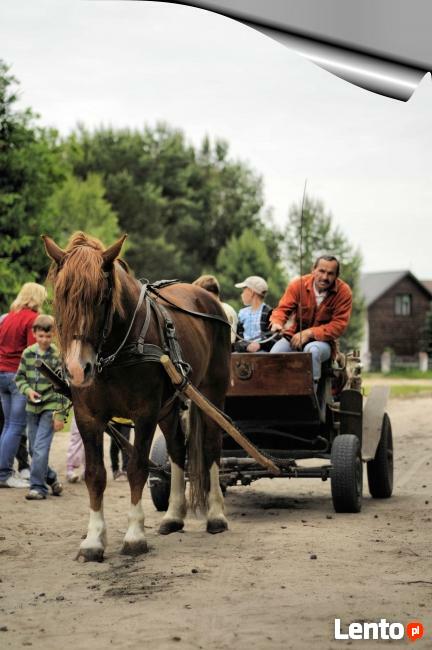wypoczynek, noclegi,kolonie, obozy,wycieczki, weekendy,zjazdy,