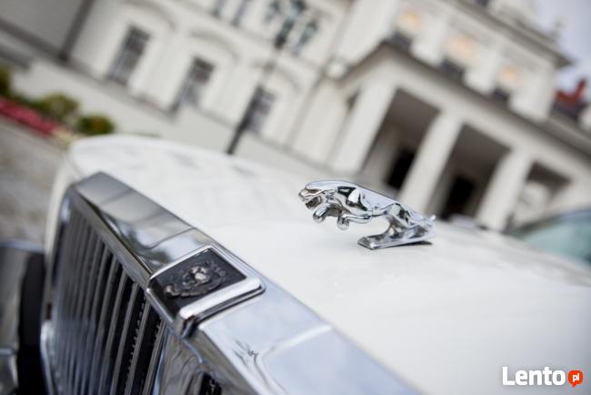 Biały Jaguar do ślubu Atrakcyjna cena, wolne terminy