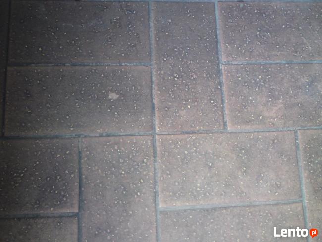 Pranie dywanów, tapicerek meblowych, samochodowych,