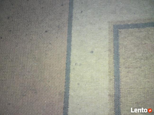 Pranie dywanów, tapicerek meblowych, samochodowych,