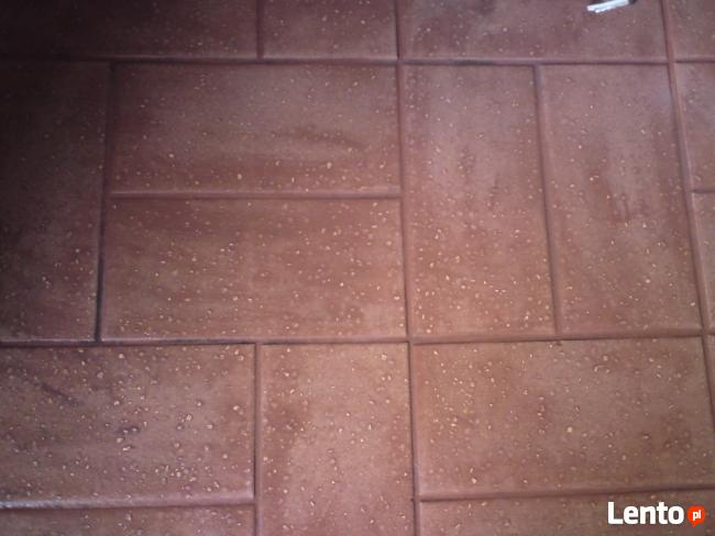 Pranie dywanów, tapicerek meblowych, samochodowych,