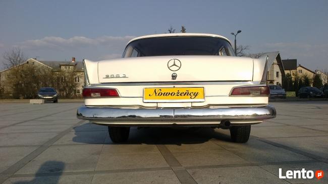 Białym zabytkowym mercedesem do ślubu 1963 rok