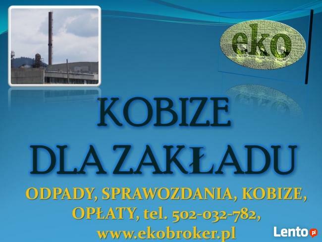 Kobize 2015, Kobize 2016, raport, obliczenia, wykaz, cena,