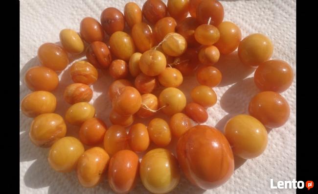 SKUP KORALI i BURSZTYNU WARSZAWA