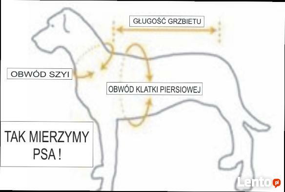 Praktyczne ubranko , kubraczek dla pieska - różne rozmiary