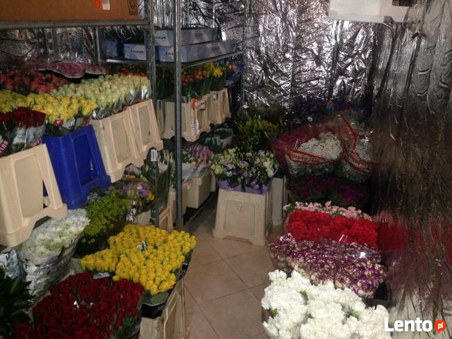 Zakład Usług Pogrzebowych Memento 24h D. Sawicki Bogatynia