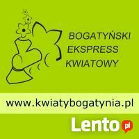 Zakład Usług Pogrzebowych Memento 24h D. Sawicki Bogatynia