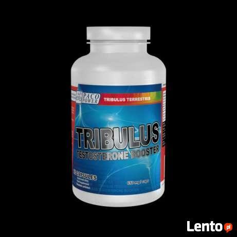 Paco Power TRIBULUS Testosterone Booster 90 cap lub 150 cap