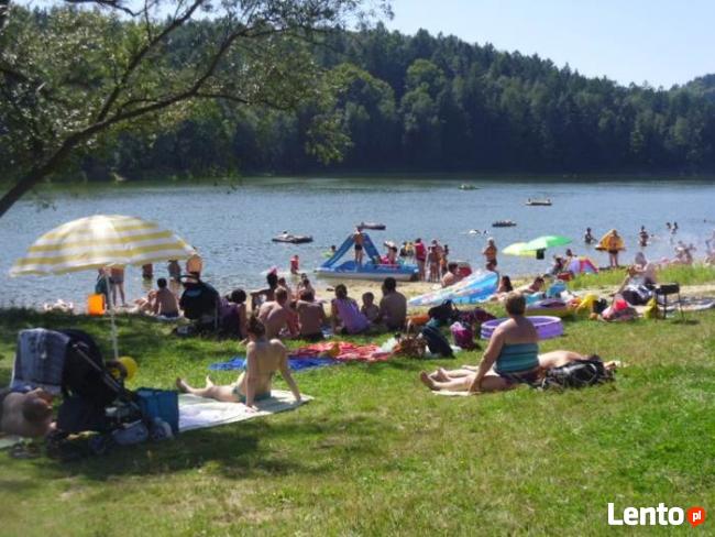 Domki nad jeziorem Wędkowanie grzybobranie Atrakcyjne ceny