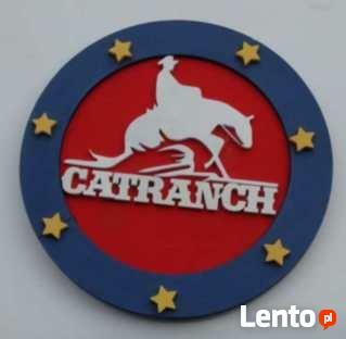 tablice litery znaki ze styroduru