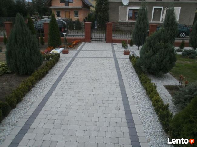 Brukarstwo Lubin wolne terminy jesien