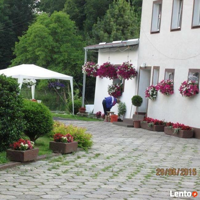 Apartament do wynajecia w Stroniu Slaskim -Rysia Chatka
