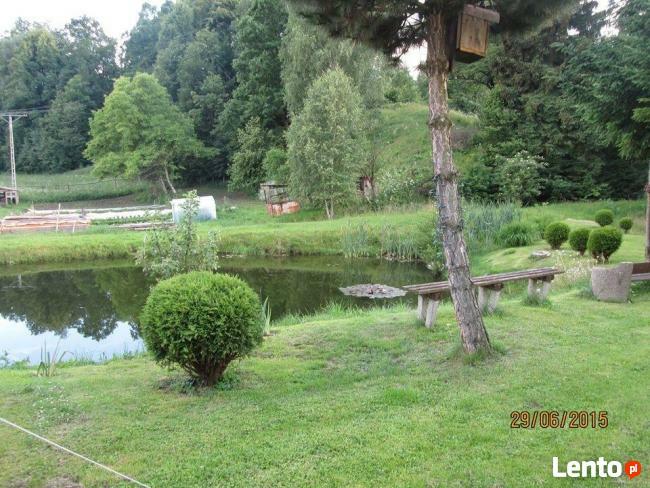 Apartament do wynajecia w Stroniu Slaskim -Rysia Chatka