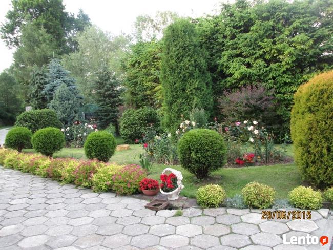 Apartament do wynajecia w Stroniu Slaskim -Rysia Chatka