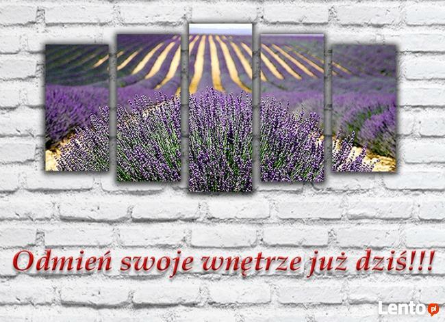 Obraz na płótnie pięcioczęściowy 5x150x80cm