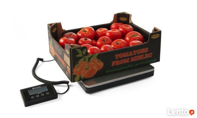 Waga gastronomiczna do 100kg stal nierdzewna Hendi