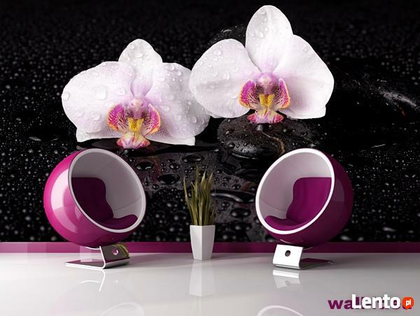 Fototapeta do salonu kwiaty Fototapety wodospad storczyki