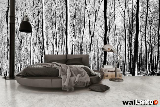 Fototapety na wymiar polski Producent TAPETY Wall-it