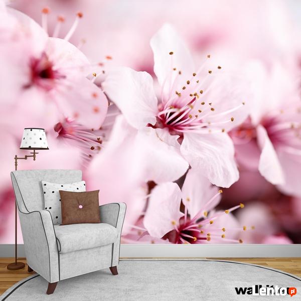 Fototapeta do salonu kwiaty Fototapety wodospad storczyki