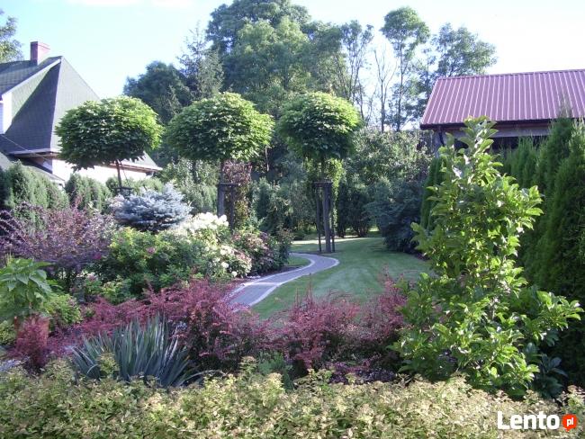 AUTOMATYCZNE NAWODNIENIE OGRODÓW. PROJEKTOWANIE OGRODÓW