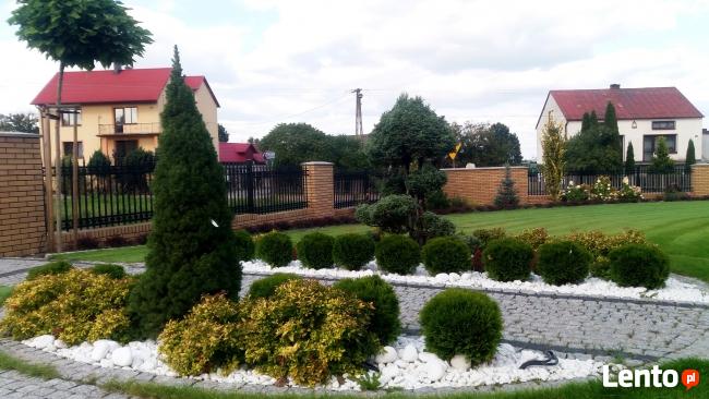 AUTOMATYCZNE NAWODNIENIE OGRODÓW. PROJEKTOWANIE OGRODÓW