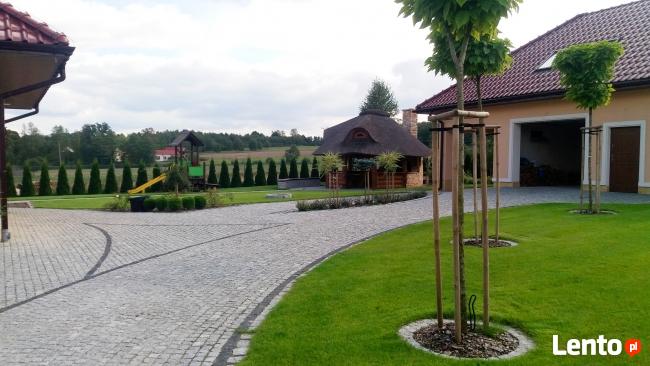 AUTOMATYCZNE NAWODNIENIE OGRODÓW. PROJEKTOWANIE OGRODÓW