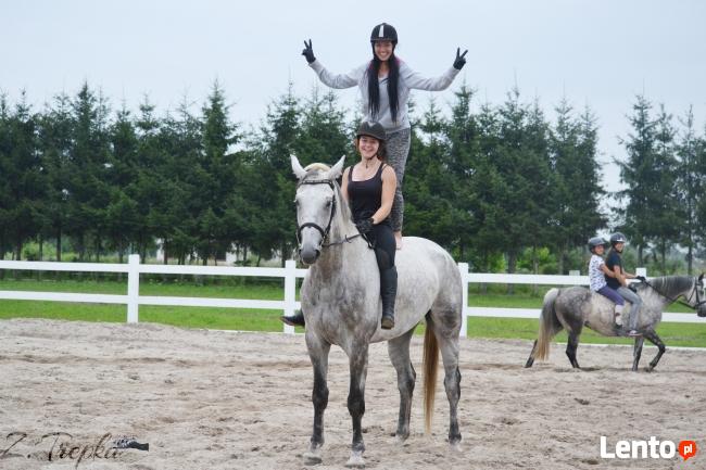 Obozy Jeździeckie ,obozy konne, wakacje w siodle, ferie w siod