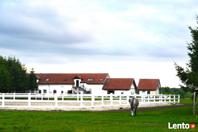 Obozy Jeździeckie ,obozy konne, wakacje w siodle, ferie w siod