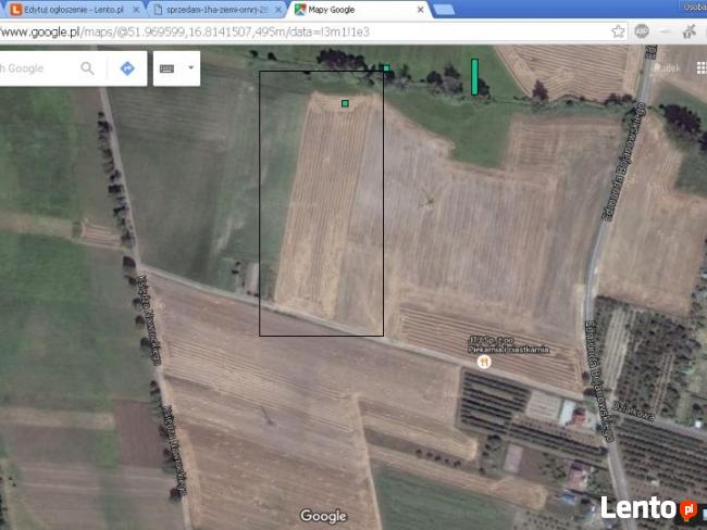 Ziemia rolna 1,5ha Krzywin koło Kościana