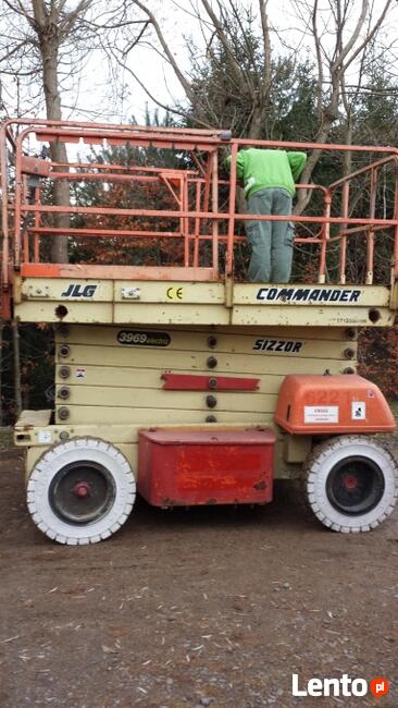 WYCINKA DRZEW USUWANIE GAŁEZI KIELCE PODNOSNIKI