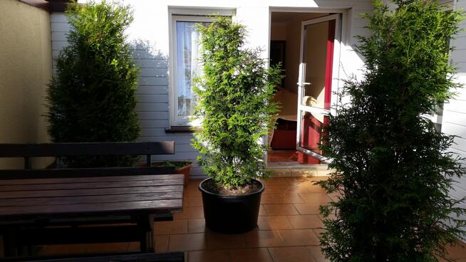 studio 2 pokojowe z bilardem i aneksem dla 5-6 os. rodziny.