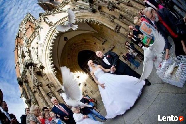 Białe gołębie na ślub (woj.dolnośląskie i opolskie)