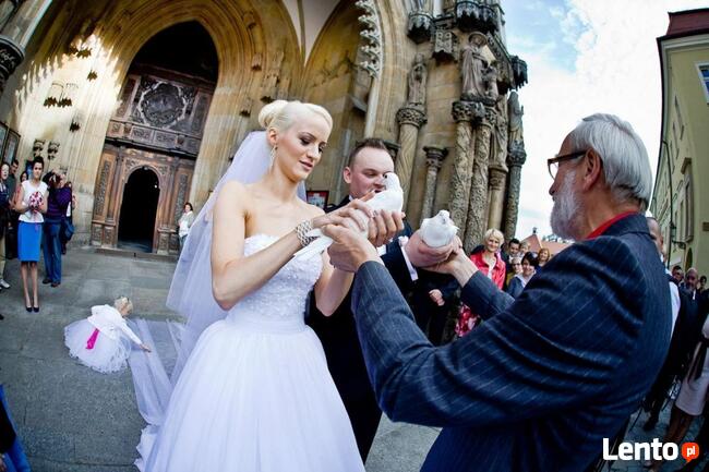 Białe gołębie na ślub (woj.dolnośląskie i opolskie)