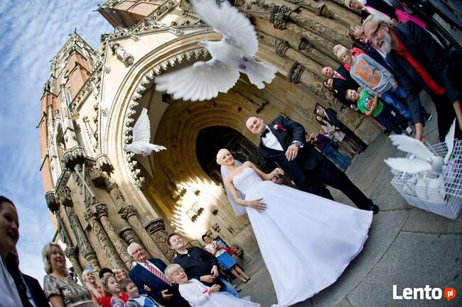 Białe gołębie na ślub (woj.dolnośląskie i opolskie)